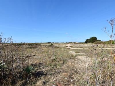 Picture 21